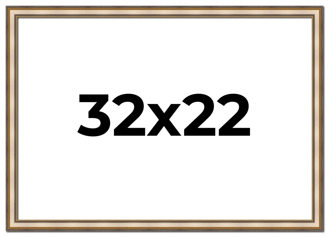 22x32 Refined Picture Frame with UV-Resistant Acrylic & Acid Free Backing, Available in 5 Finishes - Black, Blue, Gold, Silver, and White